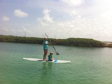 Paddleboarding the Florida Keys 13